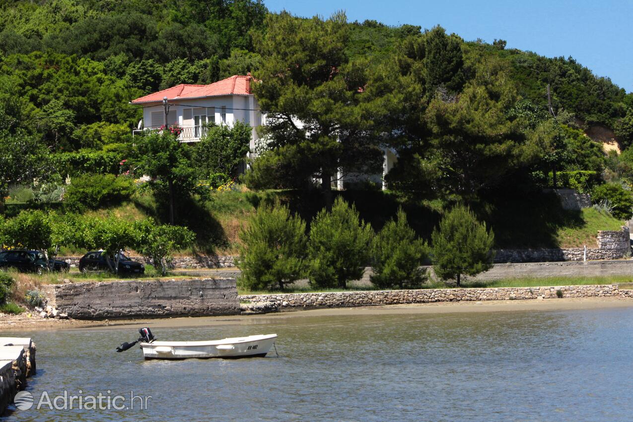 Alloggio - Appartamenti accanto al mare per famiglie Valle San Pietro - Bassa - Supetarska Draga - Donja, Arbe - Rab