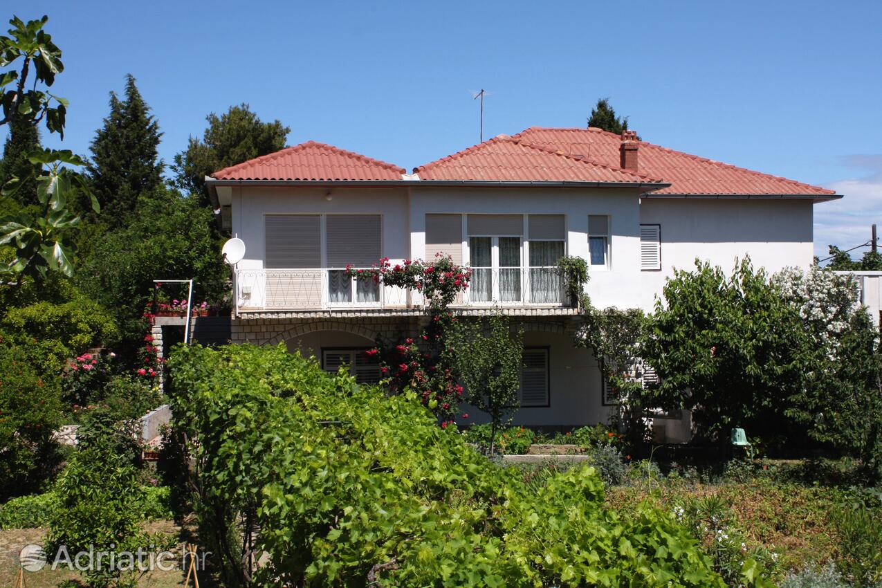 Alloggio - Appartamenti accanto al mare per famiglie Valle San Pietro - Bassa - Supetarska Draga - Donja, Arbe - Rab