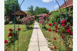 Studio flat Krapina, Zagorje (AS-20524-a(