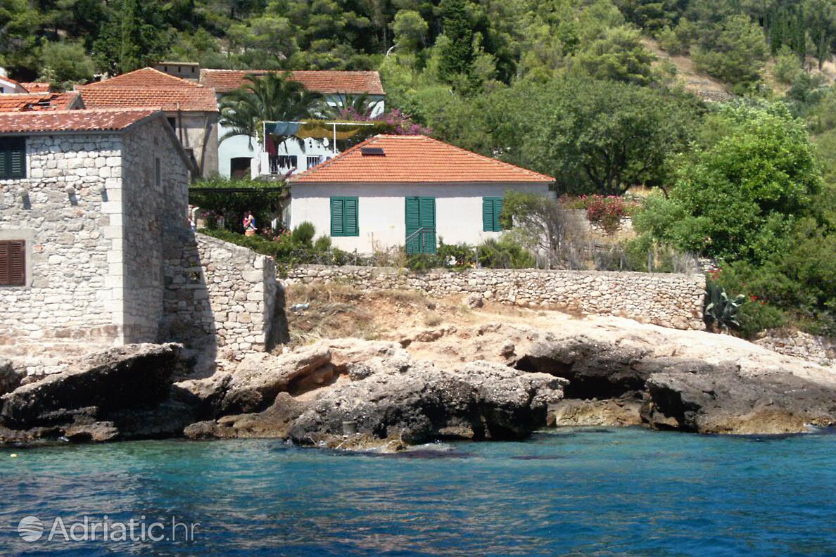 Haus am Meer für Familien mit Kindern Bucht Tvrdni Dolac, Hvar - 2057