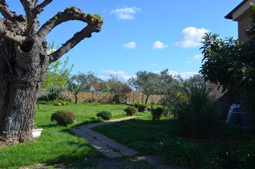 Apartmani s parkingom Štinjan, Pula - 20693