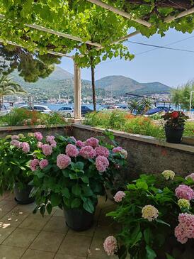 Apartments by the sea Zaton Veliki, Dubrovnik - 2107