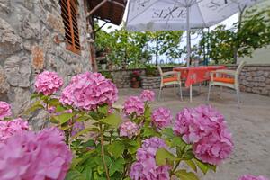 Apartments with parking space Veli Lošinj, Lošinj - 21185