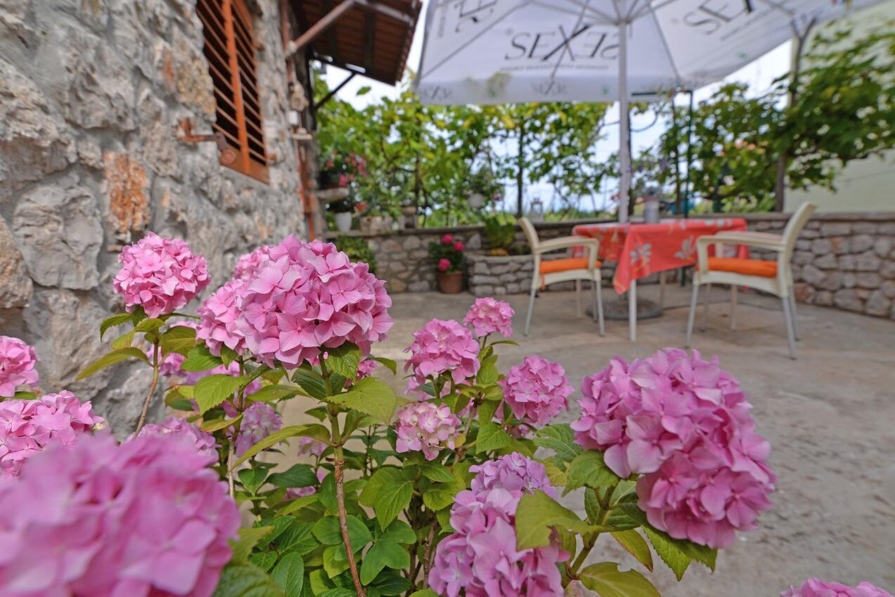 Apartmány s parkoviskom Veli Lošinj, Lošinj - 21185