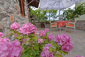 Alloggio Croazia - appartamenti, case vacanze e stanze Appartamenti con parcheggio Lussingrande - Veli Lošinj, Lussino - Lošinj - 21185 Adriatic.hr