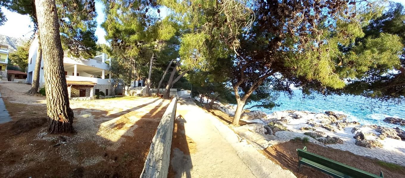 Ferienwohnungen am Meer Ivan Dolac, Hvar - 21269
