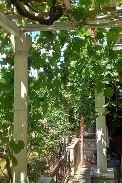 Apartments with terrace Cavtat, South Dalmatia