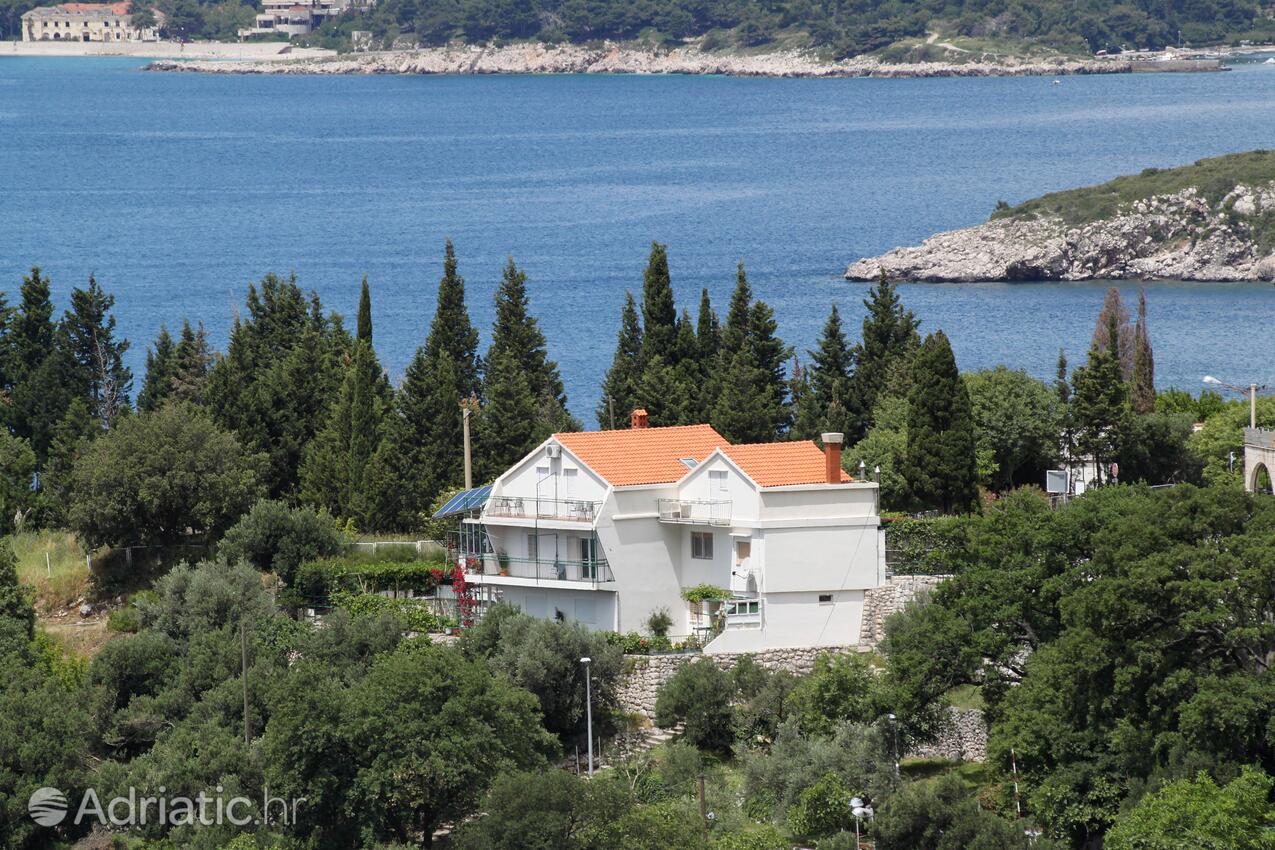 Apartments by the sea Plat, Dubrovnik - 2136