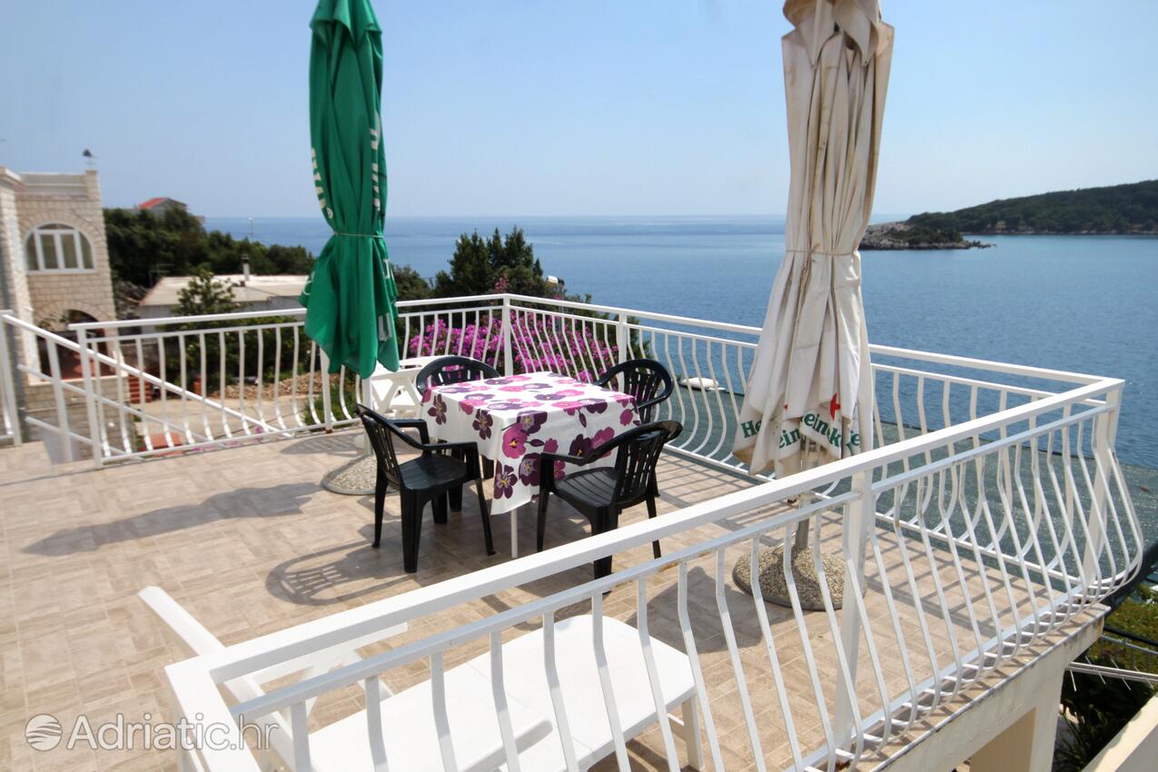 Ferienwohnungen am Meer Molunat, Dubrovnik - 2137