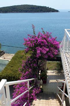 Apartments by the sea Molunat, Dubrovnik - 2137
