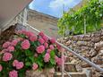 Igrane, Makarska, Двор 21577 - Апартаменты вблизи моря с галечным пляжем.