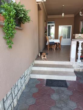 Appartamenti con parcheggio Bibinje, Zara - Zadar - 21624