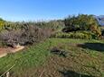 Lopar, Terrasse - Ausblick in folgender Unterkunftsart apartment, Haustiere erlaubt und WiFi.