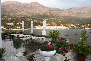 Apartments and rooms by the sea Slano, Dubrovnik - 2178