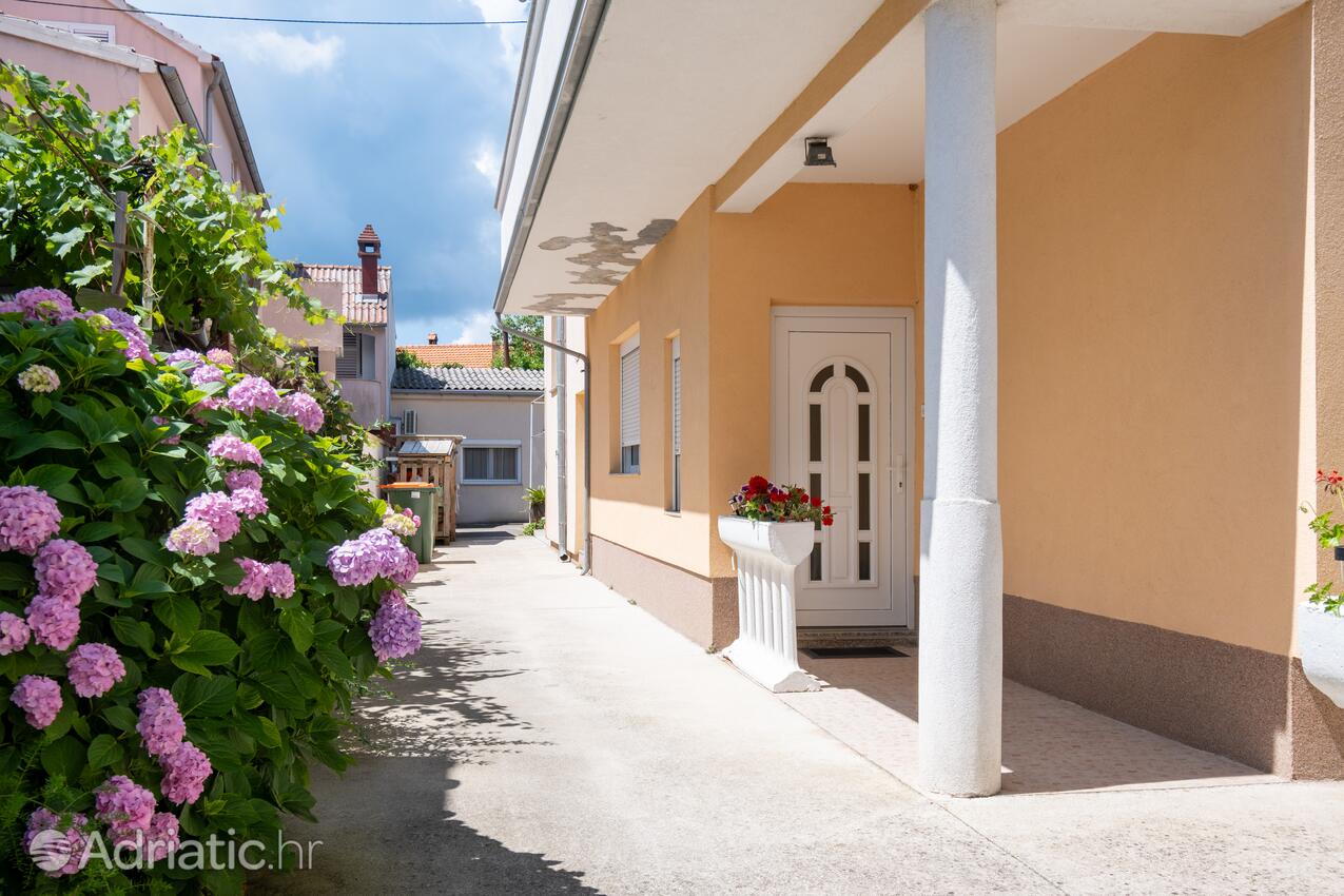 Appartements près de la mer Zadar - 21958