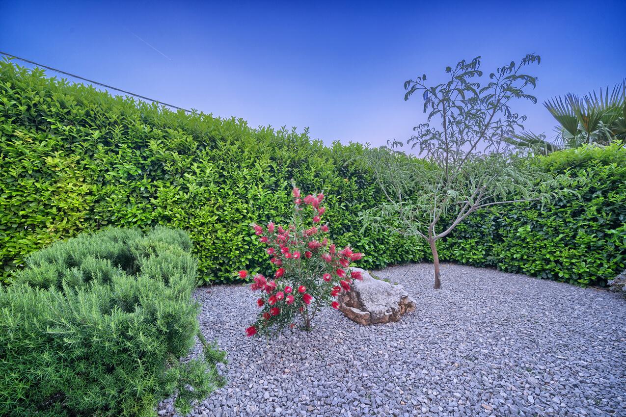 Giardino - Casa con piscina per famiglia Kastel Stari, Castelli - Kaštela