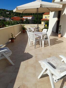 Rum Palit, Rab (S-22221-c(