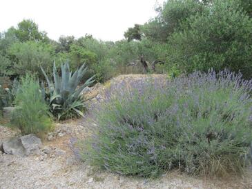 Apartmani s parkingom Ražanj, Rogoznica - 22376