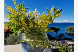 Dwupokojowy apartament Murter (A-22397-a(