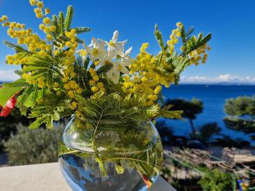 Two bedroom apartment Murter (A-22397-a(