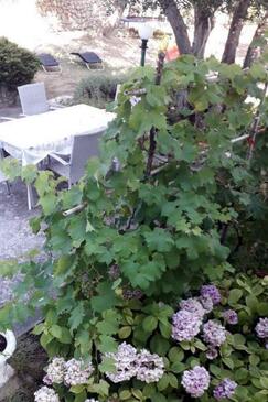 Ferienwohnungen mit Parkplatz Banjol, Rab - 22422