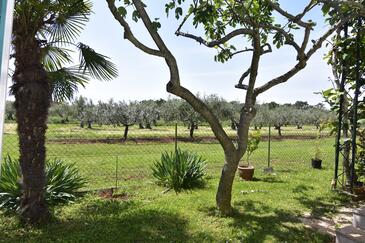 Apartmány s parkovištěm Sveti Ivan, Umag - 22472