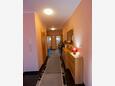 Vodice, Felles korridor i overnattingstype apartment, WiFi.