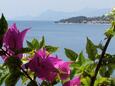 Drašnice, Terraza - vistas en alojamiento de tipo apartment, WiFi.