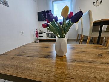 Apartments with terrace Vir, North Dalmatia