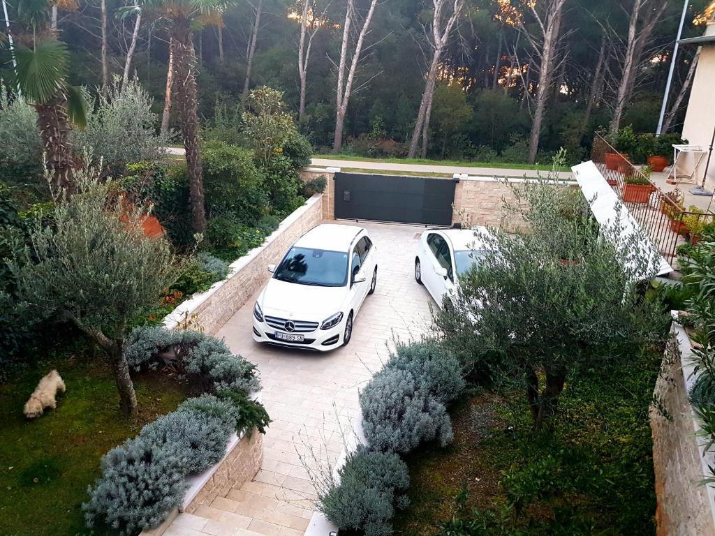 Apartments with terrace Pula, Istria