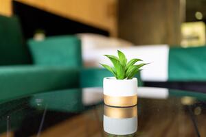 Pokoj Toplice Sveti Martin Pokoj Toplice Sveti Martin, Mezimuří - Međimurje (S-22759-e(