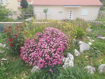 Appartamenti con parcheggio Barbat, Arbe - Rab - 22863