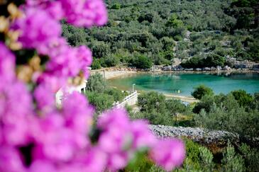 Eenkamerappartement Baai Mala Lamjana, Ugljan (A-22928-b(