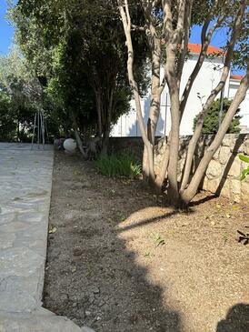 Appartamenti con parcheggio Novaglia - Novalja, Pago - Pag - 22963