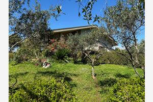 Ettrumslägenhet Galizana, Fazana (A-22977-b(