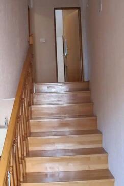 Apartments with terrace Cavtat, South Dalmatia