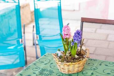 Apartments with terrace Cavtat, South Dalmatia