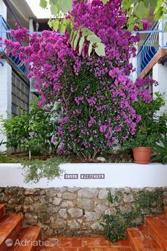 Ferienwohnungen mit Parkplatz Porozina (Cres) - 23050