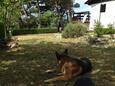 Bast, Makarska, Двор 23316 - Дом для отдыха с галечным пляжем.