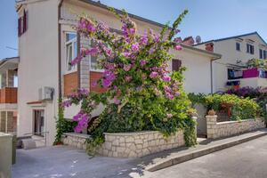 Appartements avec parking Mali Losinj, Losinj - 23418