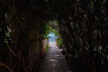 Apartamenty nad morzem Vir - 23426