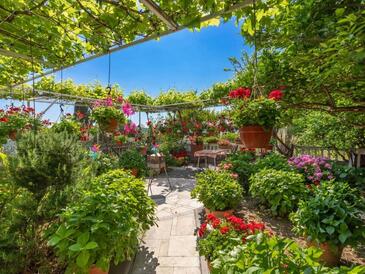 Apartmanok és szobák medencével Mlini, Dubrovnik - 23441