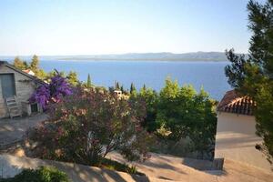 1-Zimmer-Ferienwohnung Murvica, Brac (A-23462-b(