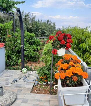 Appartamenti con parcheggio Seget Donji, Traù - Trogir - 23533