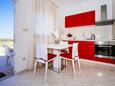 Vrsi, Кухня в размещении типа apartment, Домашние животные допускаются и WiFi.