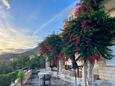 Plat, Dubrovnik, Courtyard 23567 - Apartments and Rooms with pebble beach.