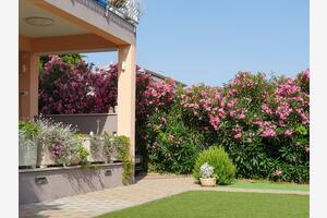 Apartmaji s parkingom Tribunj, Vodice - 23680