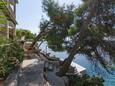 Prižba, Korčula, Giardino 23708 - Appartamenti affitto vicino al mare.