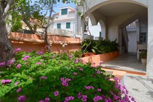 Apartmaji ob morju Lukoran, Ugljan - 23830