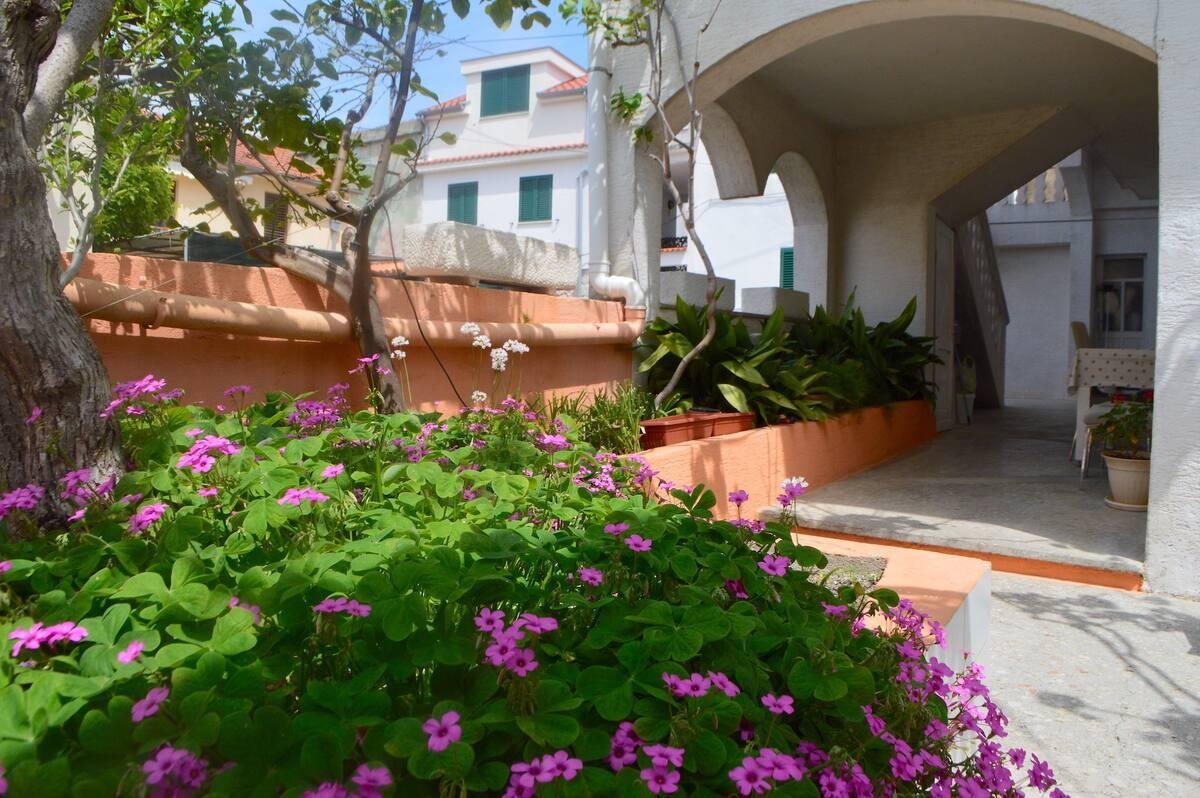 Apartmani uz more Lukoran, Ugljan - 23830